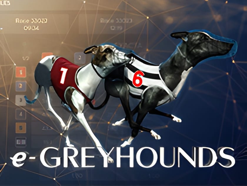 greyhound