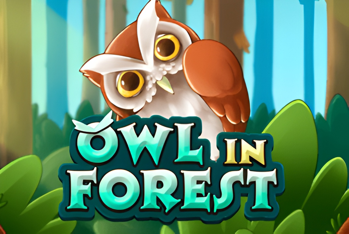 Owl In Forest